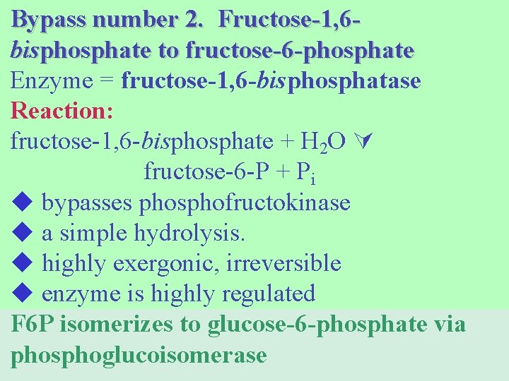 Bypass number 2. Fructose-1, 6 bisphosphate to fructose-6 -phosphate Enzyme = fructose-1, 6 -bisphosphatase