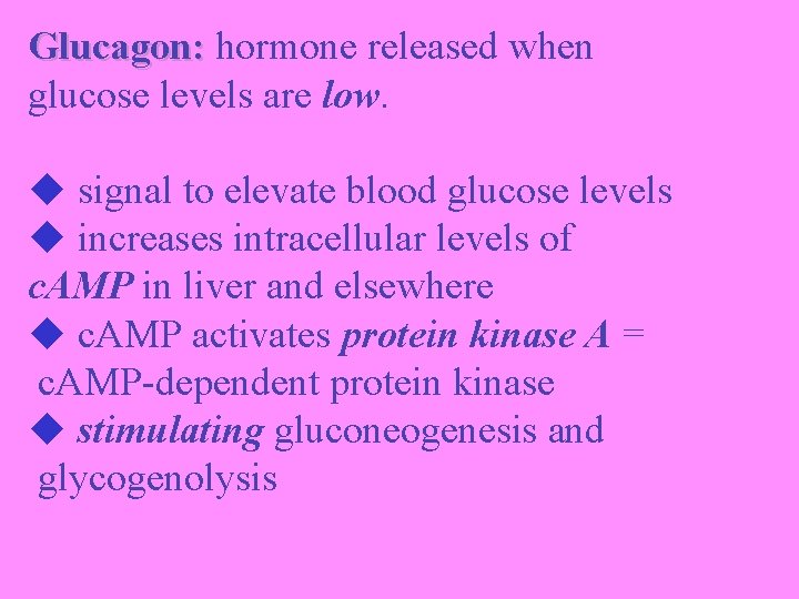 Glucagon: hormone released when glucose levels are low. signal to elevate blood glucose levels