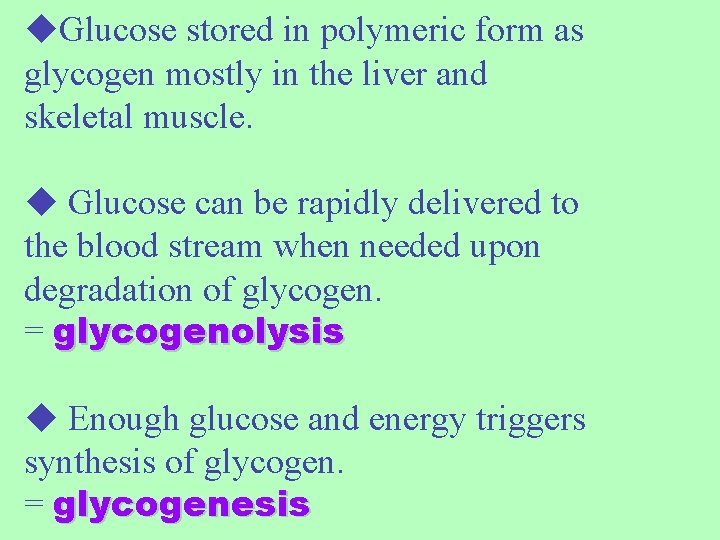  Glucose stored in polymeric form as glycogen mostly in the liver and skeletal