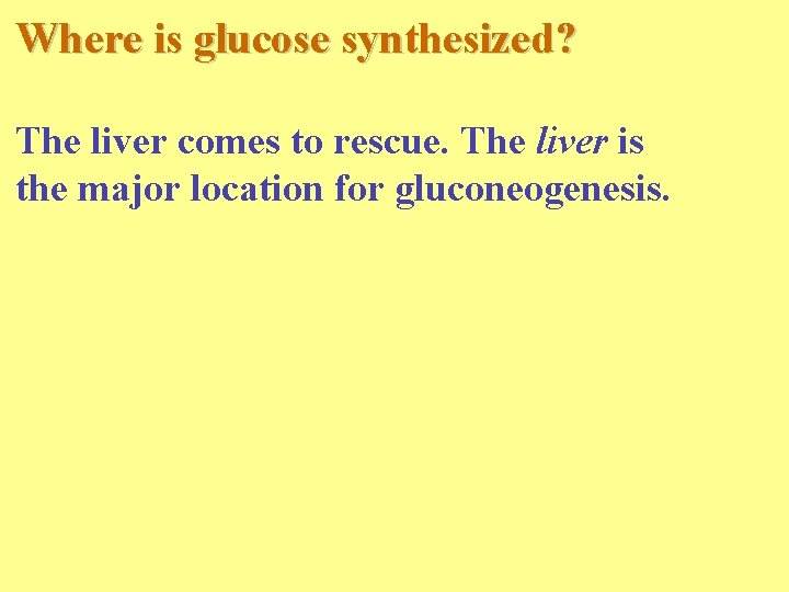 Where is glucose synthesized? The liver comes to rescue. The liver is the major