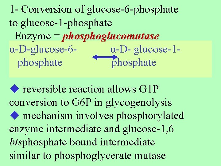 1 - Conversion of glucose-6 -phosphate to glucose-1 -phosphate Enzyme = phosphoglucomutase α-D-glucose-6α-D- glucose-1