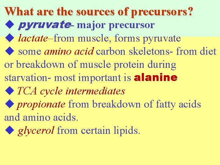 What are the sources of precursors? pyruvate- major precursor lactate–from muscle, forms pyruvate some