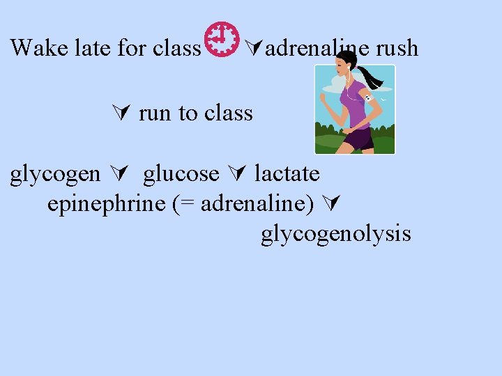 Wake late for class adrenaline rush run to class glycogen glucose lactate epinephrine (=