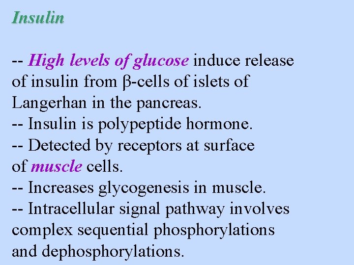 Insulin -- High levels of glucose induce release of insulin from β-cells of islets