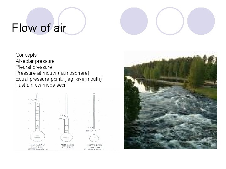 Flow of air Concepts Alveolar pressure Pleural pressure Pressure at mouth ( atmosphere) Equal