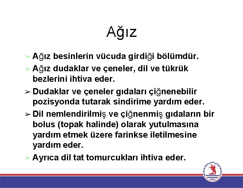 Ağız ➢ Ağız besinlerin vücuda girdiği bölümdür. ➢ Ağız dudaklar ve çeneler, dil ve