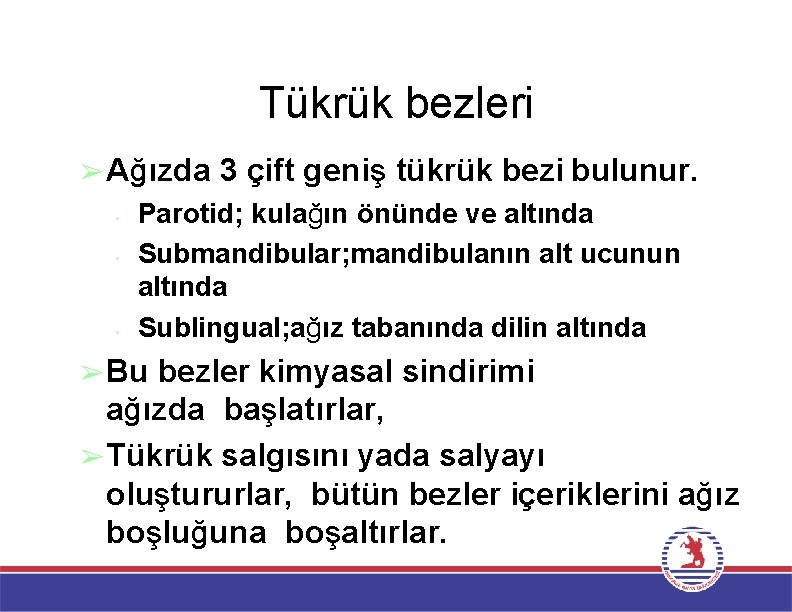 Tükrük bezleri ➢Ağızda • • • 3 çift geniş tükrük bezi bulunur. Parotid; kulağın