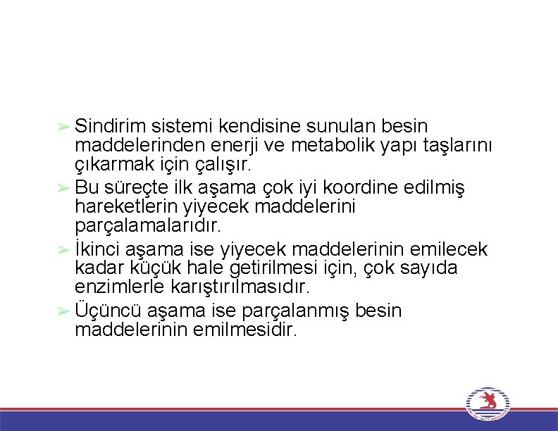 ➢ Sindirim sistemi kendisine sunulan besin maddelerinden enerji ve metabolik yapı taşlarını çıkarmak için