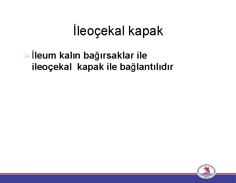 İleoçekal kapak ➢İleum kalın bağırsaklar ileoçekal kapak ile bağlantılıdır 