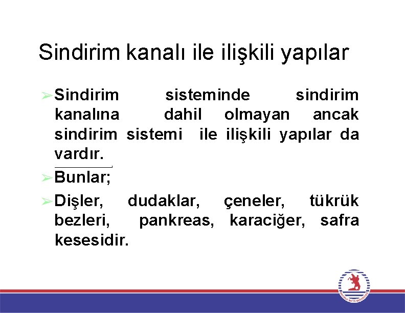 Sindirim kanalı ile ilişkili yapılar ➢Sindirim sisteminde sindirim kanalına dahil olmayan ancak sindirim sistemi