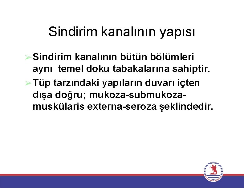 Sindirim kanalının yapısı ➢Sindirim kanalının bütün bölümleri aynı temel doku tabakalarına sahiptir. ➢Tüp tarzındaki