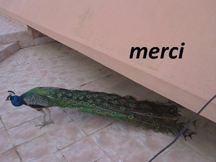 merci 