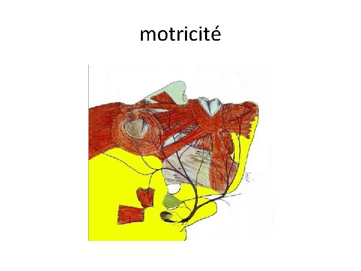 motricité 