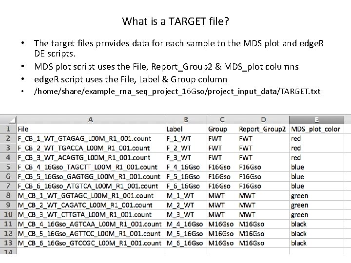 What is a TARGET file? • The target files provides data for each sample