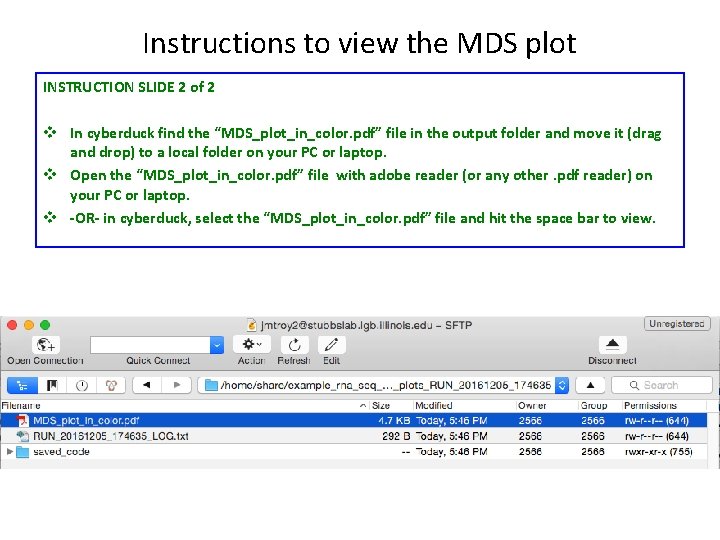 Instructions to view the MDS plot INSTRUCTION SLIDE 2 of 2 v In cyberduck