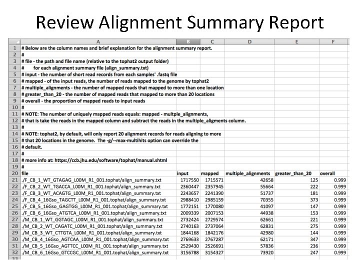 Review Alignment Summary Report 
