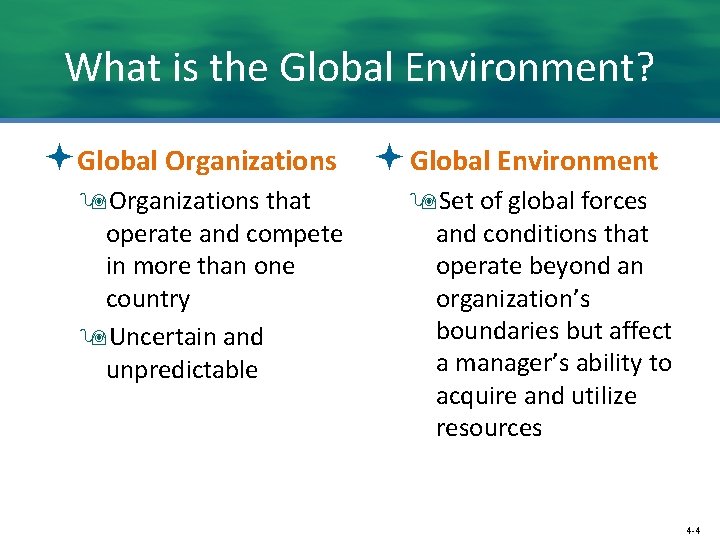 What is the Global Environment? ªGlobal Organizations ª Global Environment 9 Organizations that operate
