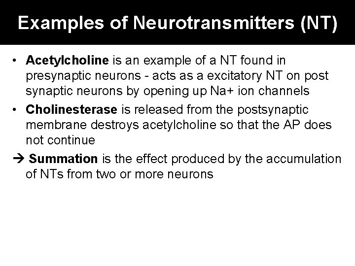 Examples of Neurotransmitters (NT) • Acetylcholine is an example of a NT found in