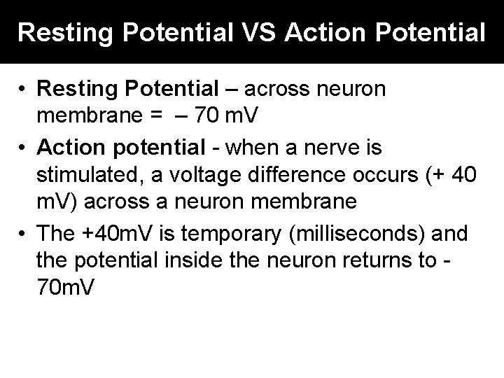 Resting Potential VS Action Potential • Resting Potential – across neuron membrane = –