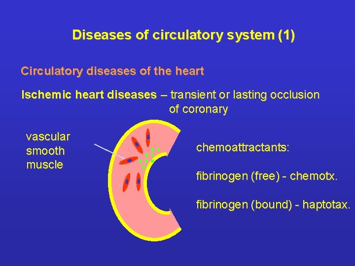 Diseases of circulatory system (1) Circulatory diseases of the heart Ischemic heart diseases –