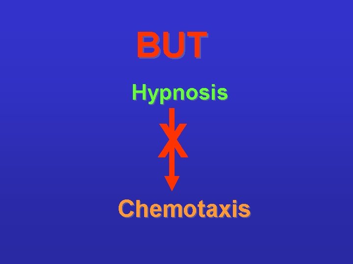 BUT Hypnosis X Chemotaxis 