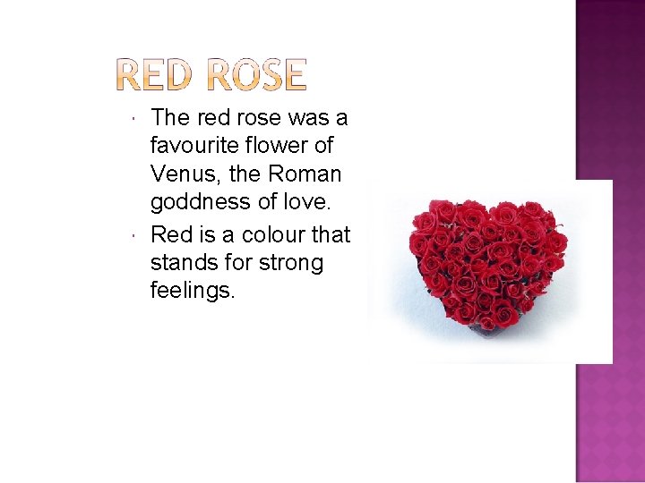  The red rose was a favourite flower of Venus, the Roman goddness of