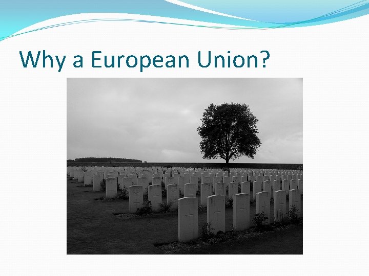 Why a European Union? 