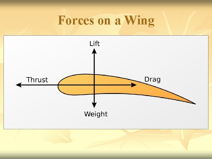 Forces on a Wing 