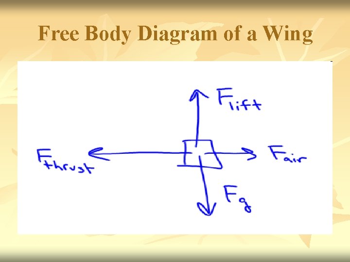 Free Body Diagram of a Wing 