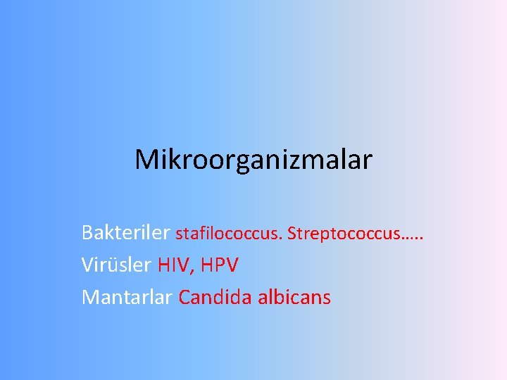 Mikroorganizmalar Bakteriler stafilococcus. Streptococcus…. . Virüsler HIV, HPV Mantarlar Candida albicans 