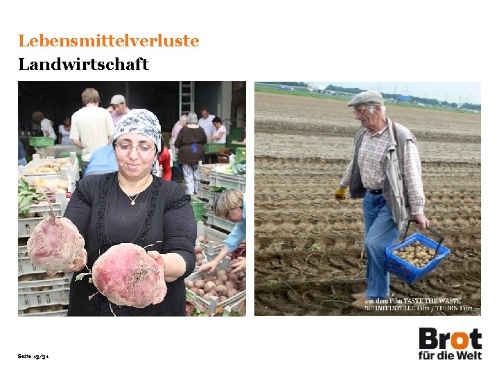 Lebensmittelverluste Landwirtschaft Seite 13/31 