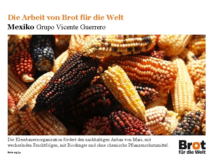 Die Arbeit von Brot für die Welt Mexiko Grupo Vicente Guerrero Die Kleinbauernorganisation fördert