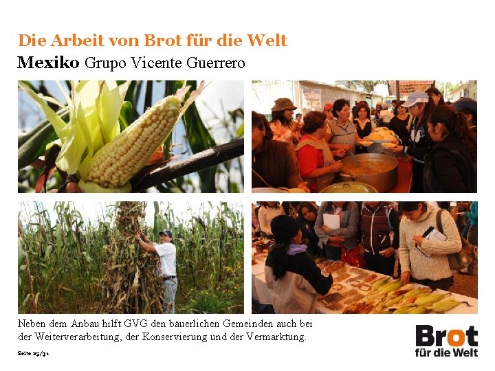 Die Arbeit von Brot für die Welt Mexiko Grupo Vicente Guerrero Neben dem Anbau