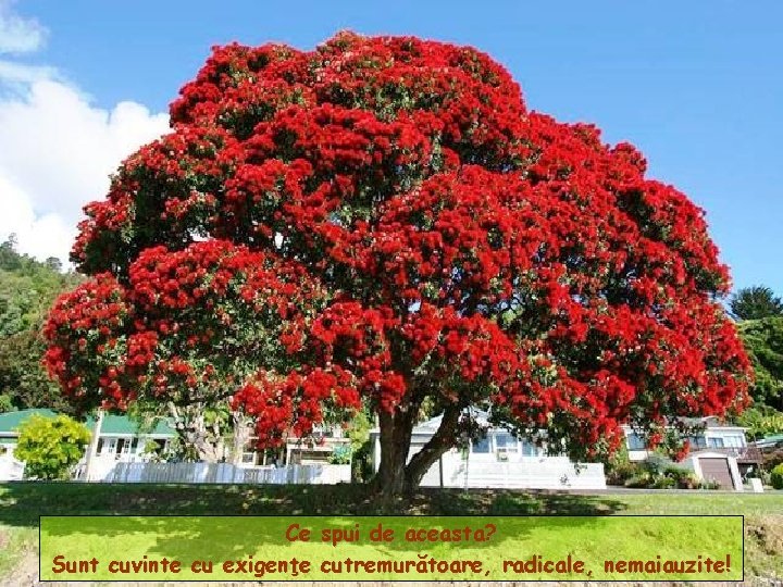 Ce spui de aceasta? Sunt cuvinte cu exigenţe cutremurătoare, radicale, nemaiauzite! 