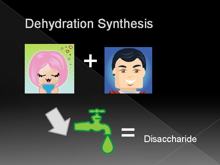 Dehydration Synthesis + = Disaccharide 