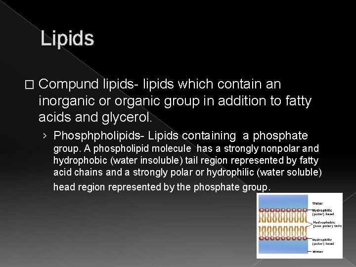 Lipids � Compund lipids- lipids which contain an inorganic or organic group in addition