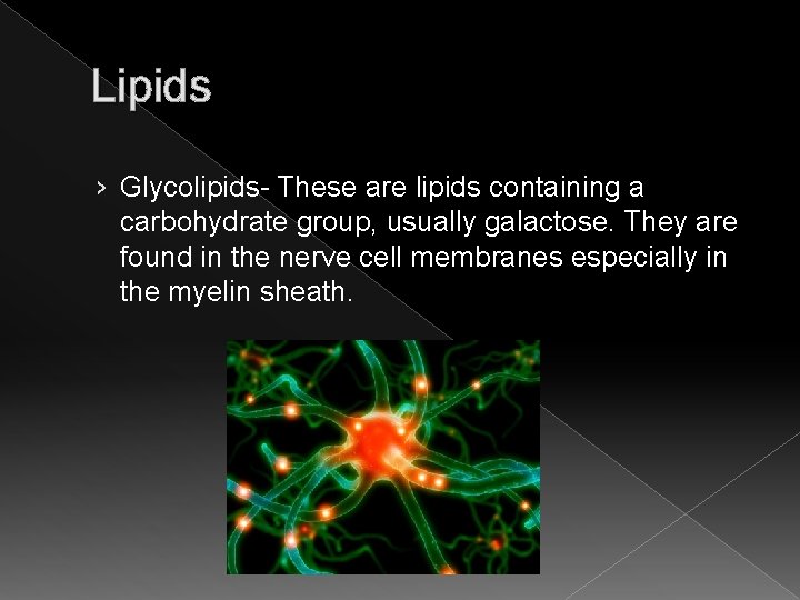 Lipids › Glycolipids- These are lipids containing a carbohydrate group, usually galactose. They are