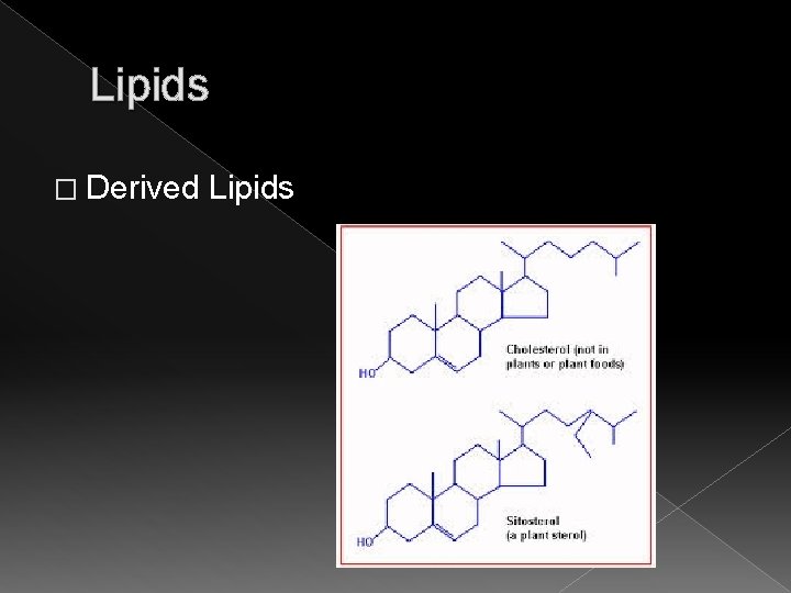 Lipids � Derived Lipids 