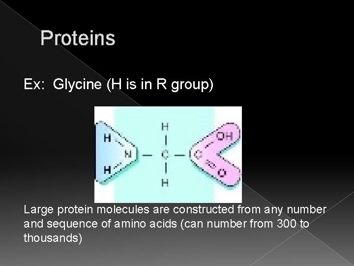 Proteins Ex: Glycine (H is in R group) Large protein molecules are constructed from