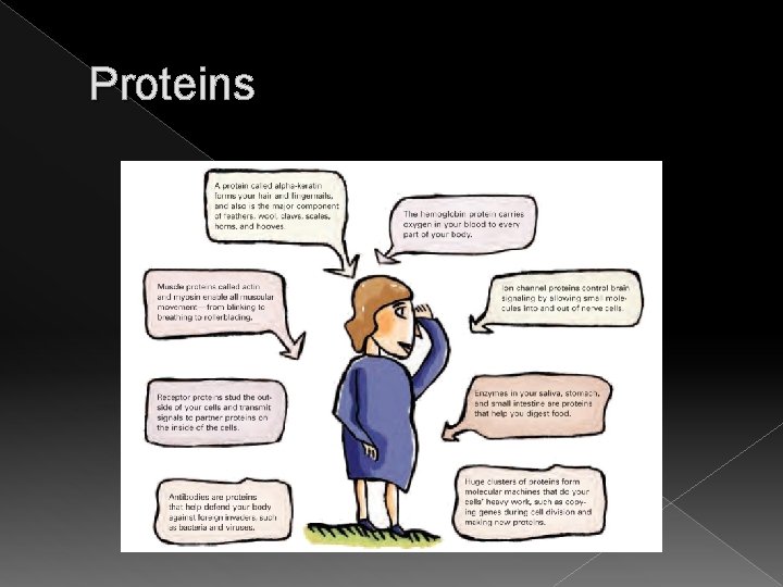 Proteins 