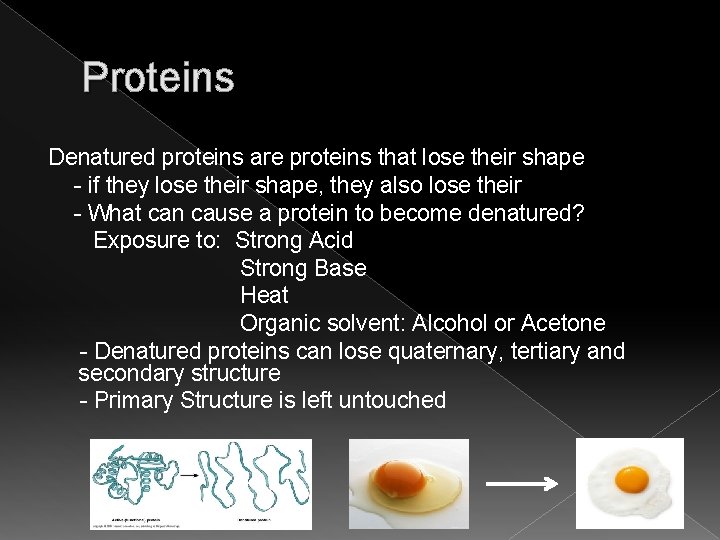 Proteins Denatured proteins are proteins that lose their shape - if they lose their