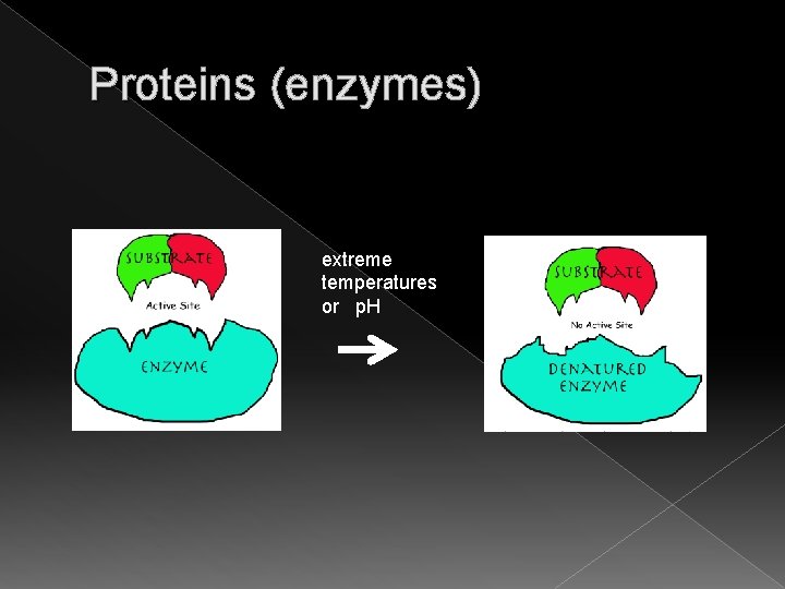 Proteins (enzymes) extreme temperatures or p. H 