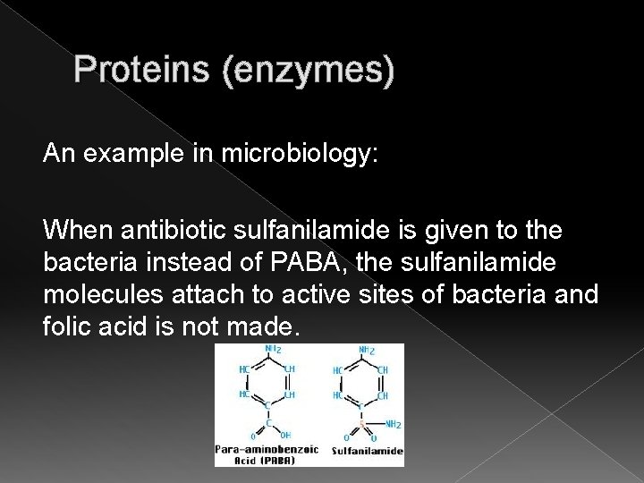 Proteins (enzymes) An example in microbiology: When antibiotic sulfanilamide is given to the bacteria