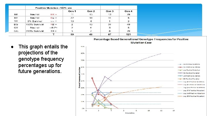 ● This graph entails the projections of the genotype frequency percentages up for future