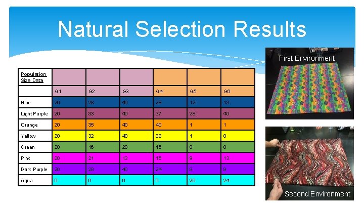 Natural Selection Results First Environment Population Size Data G 1 G 2 G 3