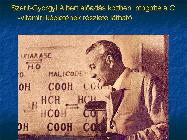 Szent-Györgyi Albert előadás közben, mögötte a C -vitamin képletének részlete látható 