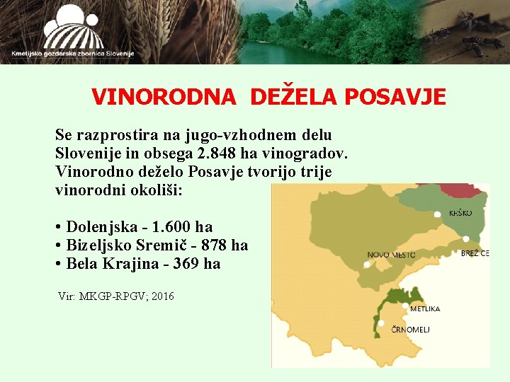 VINORODNA DEŽELA POSAVJE Se razprostira na jugo-vzhodnem delu Slovenije in obsega 2. 848 ha