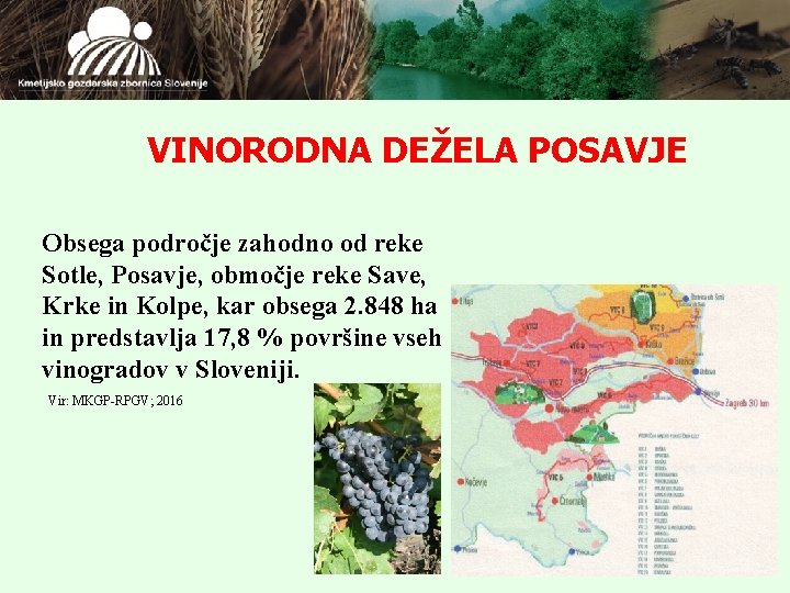 VINORODNA DEŽELA POSAVJE Obsega področje zahodno od reke Sotle, Posavje, območje reke Save, Krke