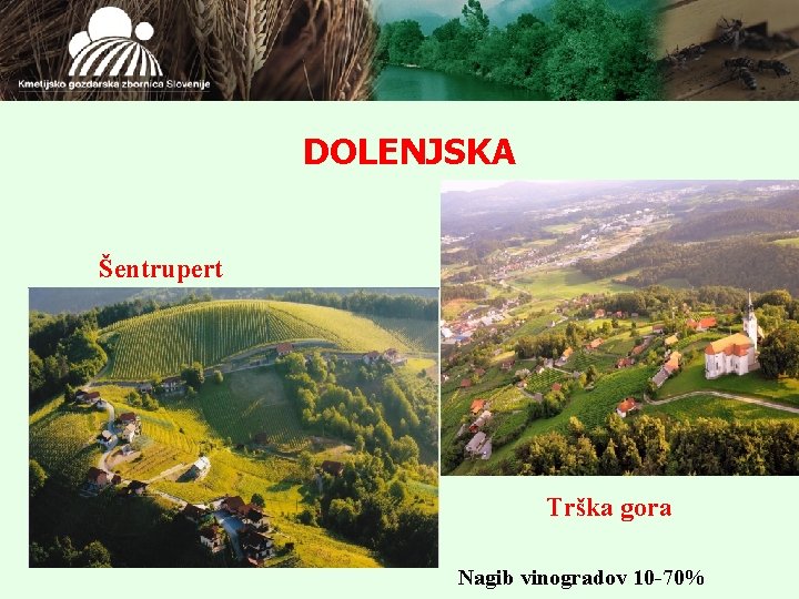 DOLENJSKA Šentrupert Trška gora Nagib vinogradov 10 -70% 