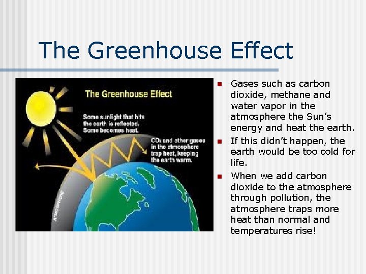 The Greenhouse Effect n n n Gases such as carbon dioxide, methane and water